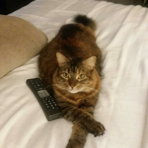 Weekend Free Delivery on every order. - Picture 2 of 3